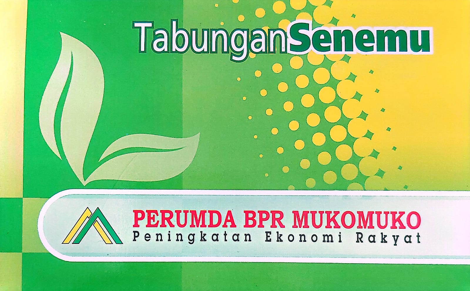 Tabungan Senemu